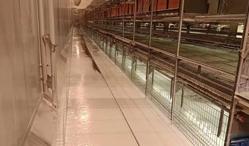 Reinigung von Tierställen: Abfluss