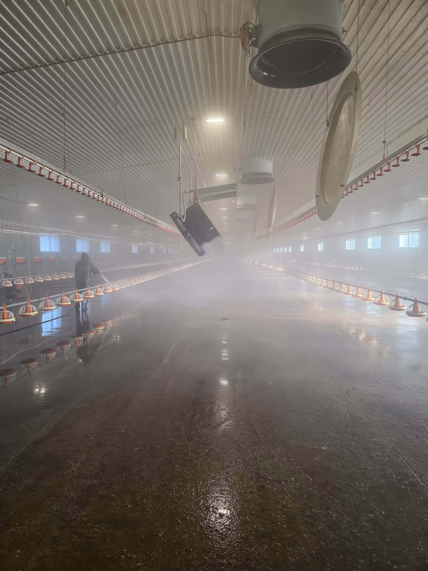 ULV-Vernebelung in einem Stall